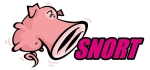 SNORT IDS